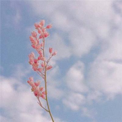 AG官方入口网址截图