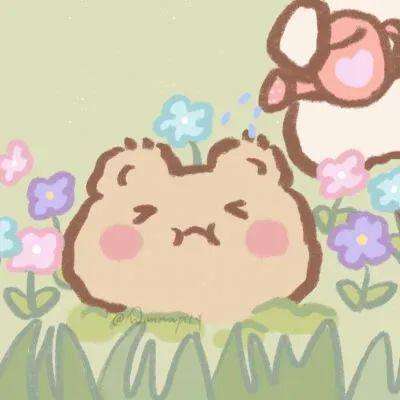 bob·体育综合app