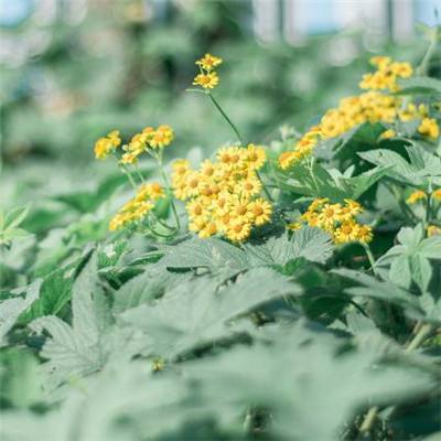 一分三快app下载手机版