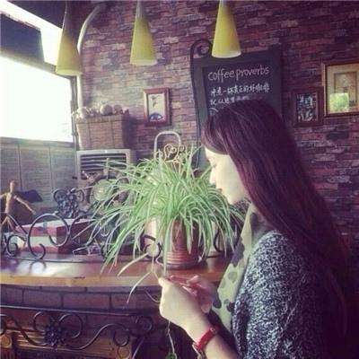 半岛综合体育APP